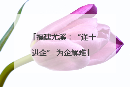 福建尤溪：“逢十进企” 为企解难