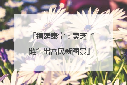 福建泰宁：灵芝“链”出富民新图景