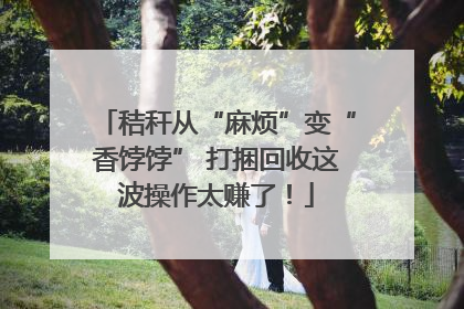 秸秆从“麻烦”变“香饽饽” 打捆回收这波操作太赚了！