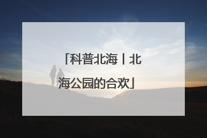 科普北海丨北海公园的合欢