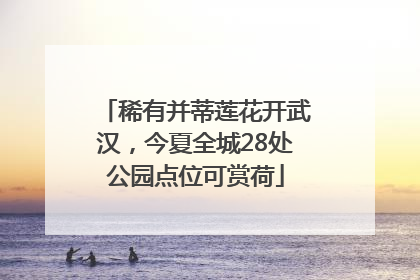 稀有并蒂莲花开武汉，今夏全城28处公园点位可赏荷