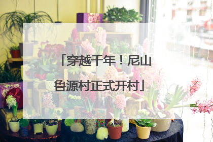 穿越千年！尼山鲁源村正式开村