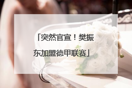 突然官宣！樊振东加盟德甲联赛