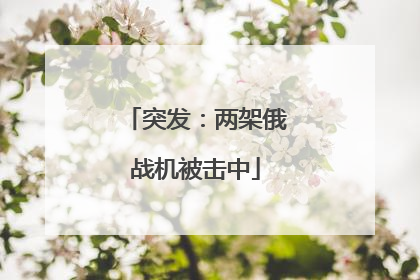 突发：两架俄战机被击中