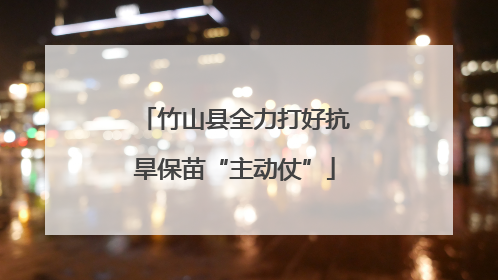 竹山县全力打好抗旱保苗“主动仗”