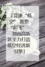竞逐“低空” 蓄势“起飞”——渭南高新区全力打造低空经济新引擎