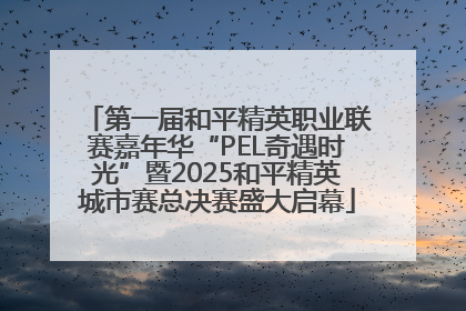 第一届和平精英职业联赛嘉年华“PEL奇遇时光”暨2025和平精英城市赛总决赛盛大启幕