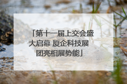 第十一届上交会盛大启幕 厦企科技展团亮相展势能