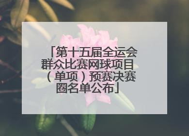 第十五届全运会群众比赛网球项目（单项）预赛决赛圈名单公布