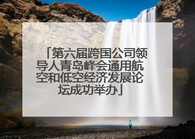 第六届跨国公司领导人青岛峰会通用航空和低空经济发展论坛成功举办