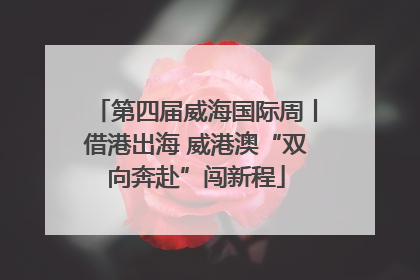 第四届威海国际周丨借港出海 威港澳“双向奔赴”闯新程