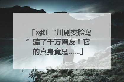网红“川剧变脸鸟”骗了千万网友！它的真身竟是……