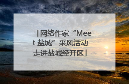 网络作家“Meet 盐城”采风活动走进盐城经开区