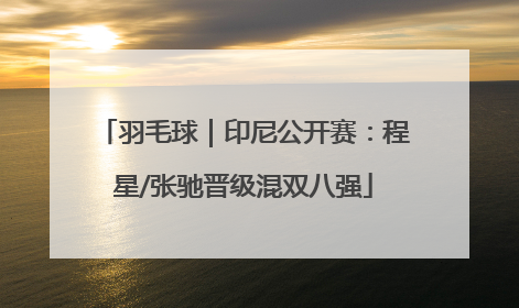 羽毛球｜印尼公开赛：程星/张驰晋级混双八强