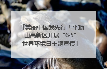美丽中国我先行！平顶山高新区开展“6·5”世界环境日主题宣传