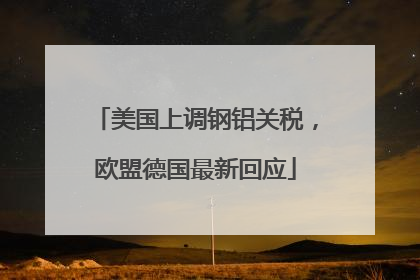 美国上调钢铝关税，欧盟德国最新回应