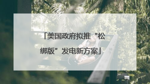 美国政府拟推“松绑版”发电新方案
