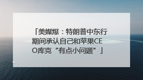 美媒爆：特朗普中东行期间承认自己和苹果CEO库克“有点小问题”