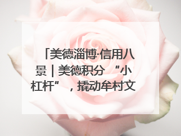 美德淄博·信用八景｜美德积分 “小杠杆”，撬动牟村文明 “大能量”