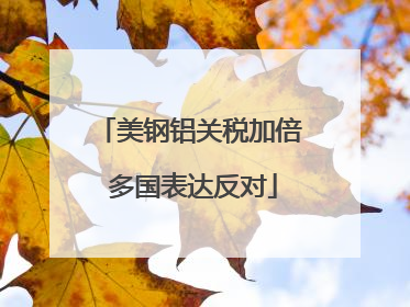美钢铝关税加倍 多国表达反对