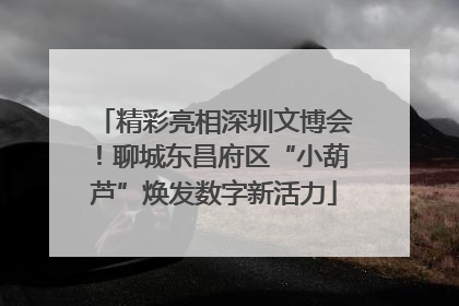 精彩亮相深圳文博会！聊城东昌府区“小葫芦”焕发数字新活力