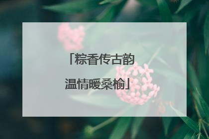 粽香传古韵 温情暖桑榆