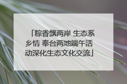 粽香飘两岸 生态系乡情 奉台两地端午活动深化生态文化交流