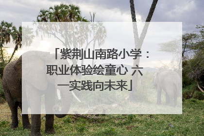 紫荆山南路小学：职业体验绘童心 六一实践向未来