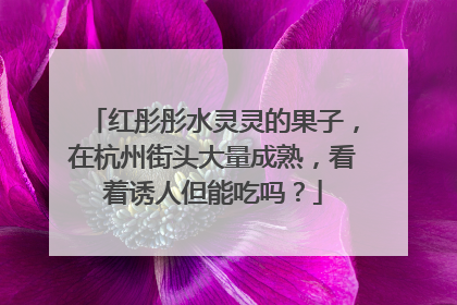红彤彤水灵灵的果子，在杭州街头大量成熟，看着诱人但能吃吗？
