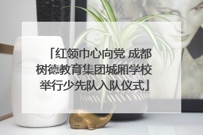 红领巾心向党 成都树德教育集团城厢学校举行少先队入队仪式