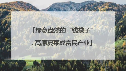 绿意盎然的“钱袋子”：高原夏菜成富民产业