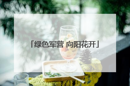 绿色军营 向阳花开
