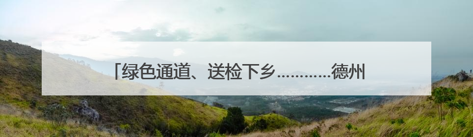 绿色通道、送检下乡…………德州高效办理农机业务4200多件