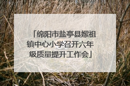 绵阳市盐亭县嫘祖镇中心小学召开六年级质量提升工作会