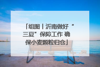 组图丨沂南做好“三夏”保障工作 确保小麦颗粒归仓
