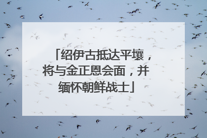 绍伊古抵达平壤，将与金正恩会面，并缅怀朝鲜战士
