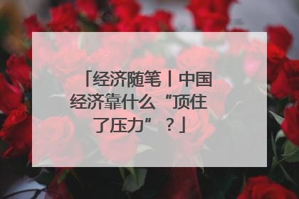 经济随笔丨中国经济靠什么“顶住了压力”？