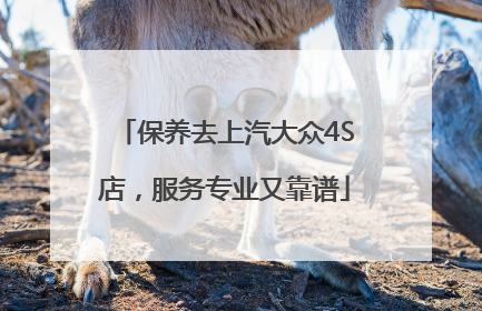 保养去上汽大众4S店，服务专业又靠谱