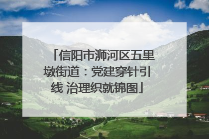 信阳市浉河区五里墩街道：党建穿针引线 治理织就锦图