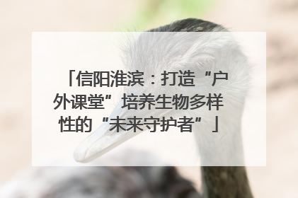 信阳淮滨：打造“户外课堂”培养生物多样性的“未来守护者”