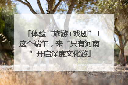 体验“旅游+戏剧”！这个端午，来“只有河南”开启深度文化游
