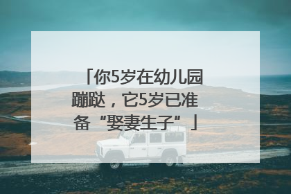 你5岁在幼儿园蹦跶，它5岁已准备“娶妻生子”
