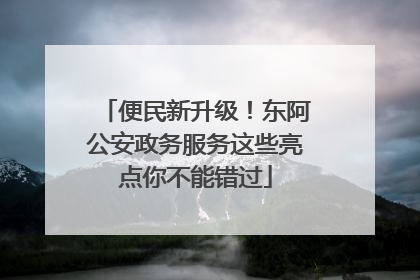 便民新升级！东阿公安政务服务这些亮点你不能错过