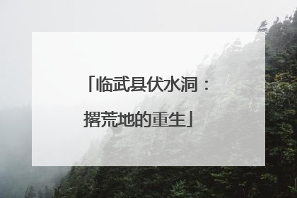 临武县伏水洞：撂荒地的重生