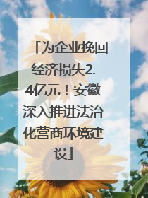 为企业挽回经济损失2.4亿元！安徽深入推进法治化营商环境建设