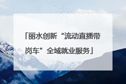 丽水创新“流动直播带岗车”全域就业服务