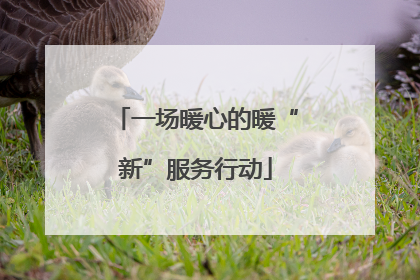 一场暖心的暖“新”服务行动
