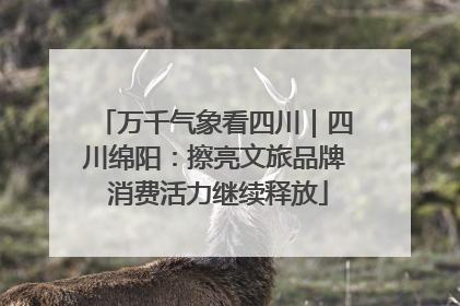 万千气象看四川｜四川绵阳：擦亮文旅品牌 消费活力继续释放