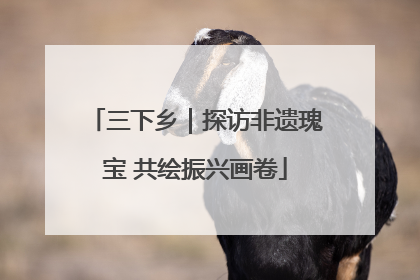 三下乡｜探访非遗瑰宝 共绘振兴画卷