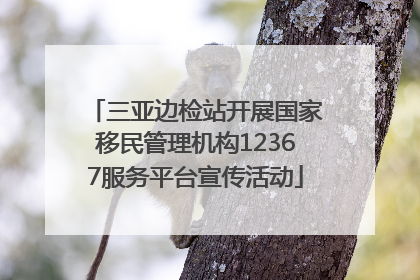三亚边检站开展国家移民管理机构12367服务平台宣传活动